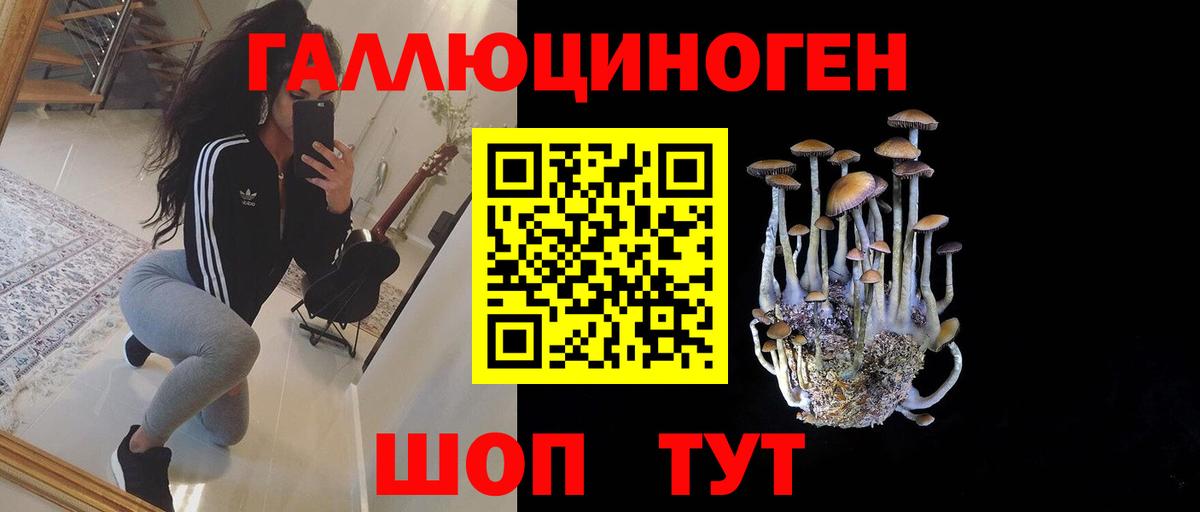 Псилоцибиновые грибы GOLDEN TEACHER  Вход с VPN  купить наркоту  Полысаево  Галлюциногенные грибы Psilocybine cubensis 